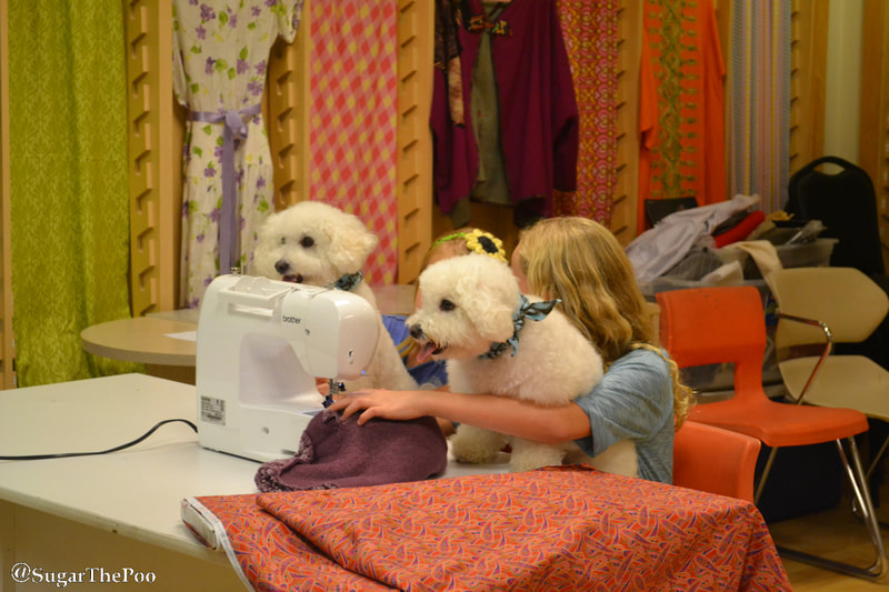 SugarThePoo Cute Maltipoo Puppy Dog with brother and young girls at sewing machine