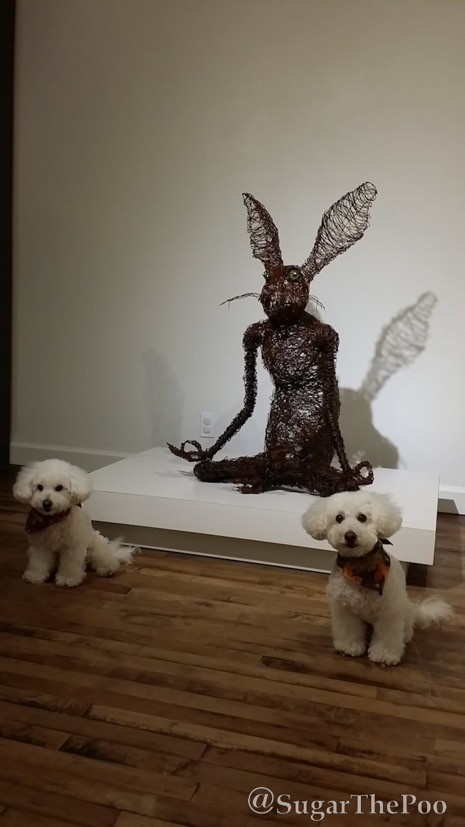Sugar The Poo two cute maltipoo puppy dogs with wire sculpture of bunny rabbit