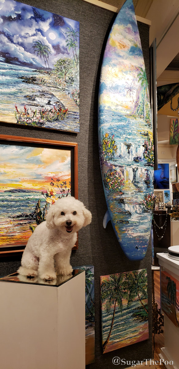 Sugar The Poo cute happy matipoo puppy dog in art gallery with fine art painted surfboard