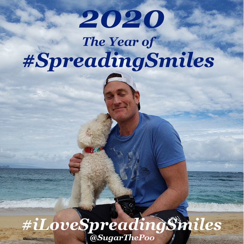 Sugar The Poo cute maltipoo puppy dog at beach kissing cute guy smiling New Year 2020 The Year Of Spreading Smiles
